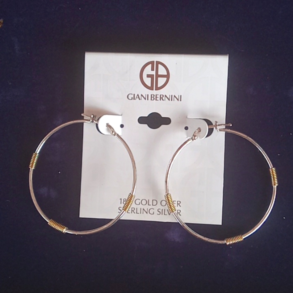 Gold Sterling silver earrings